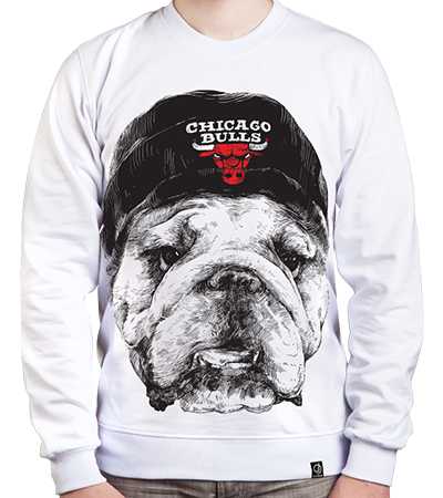 Свитшот Bulls SW (Dead Brush Freepaint) — Dead Brush
